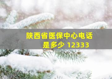 陕西省医保中心电话是多少 12333